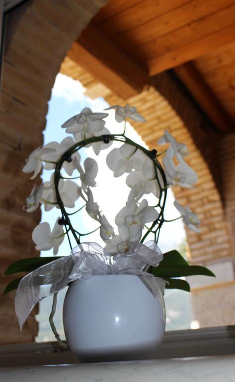 Giardino Degli Ulivi Caprino Veronese Exterior foto