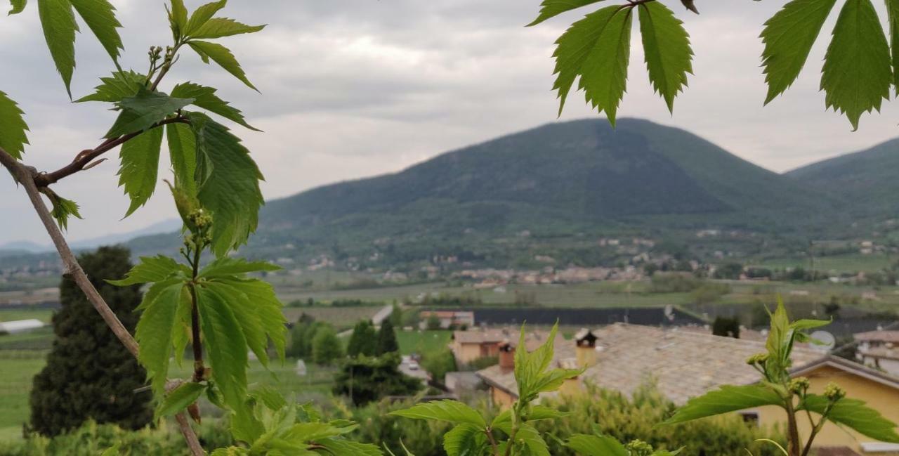 Giardino Degli Ulivi Caprino Veronese Exterior foto